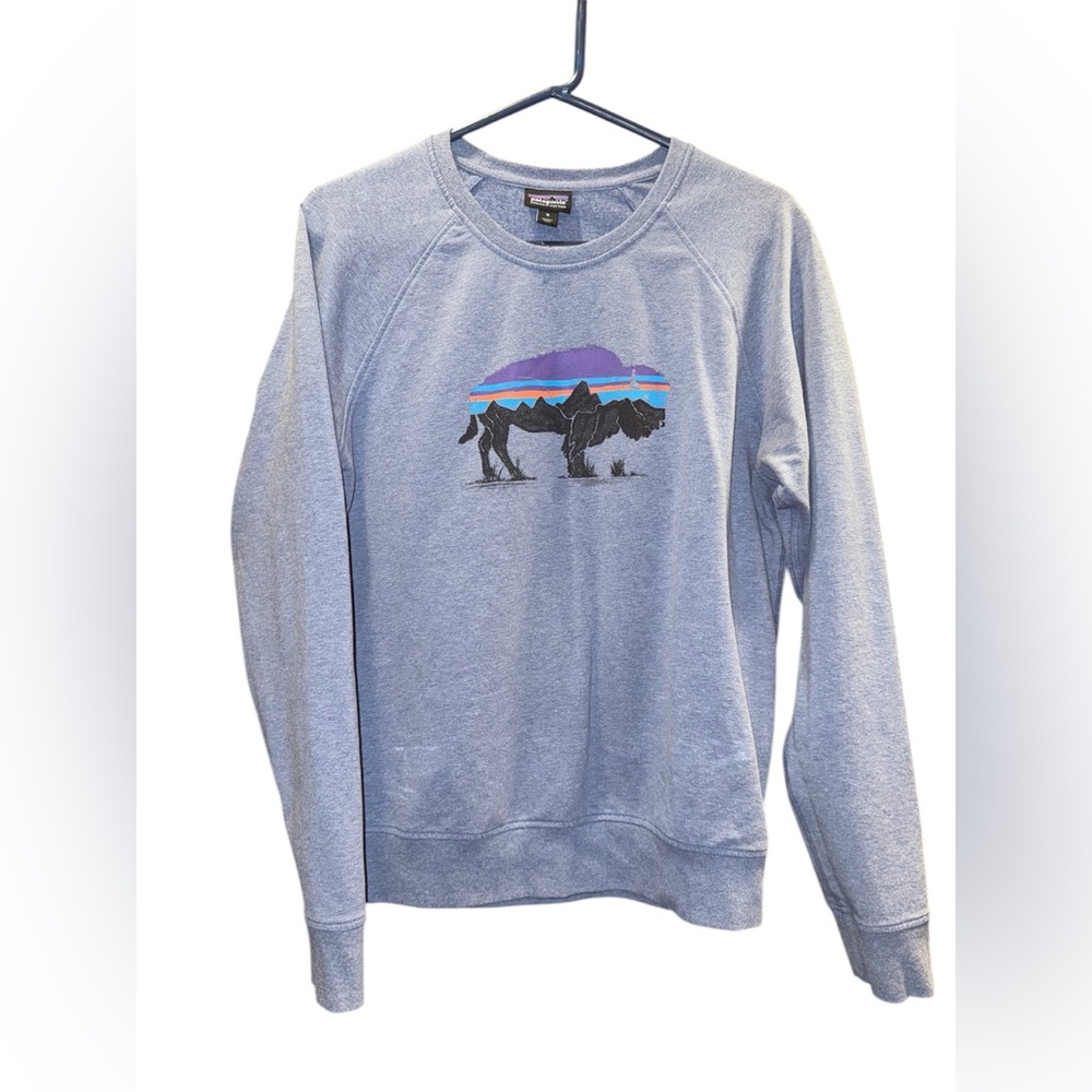 Patagonia Fitz Roy Bison Ahnya Crew Sweatshirt